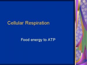 Cellular Respiration Food energy to ATP 10292020 ATP