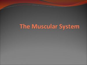 The Muscular System Overview of Muscular System Types
