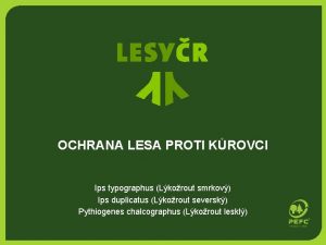 OCHRANA LESA PROTI KROVCI Ips typographus Lkorout smrkov