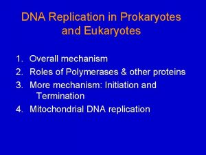 DNA Replication in Prokaryotes and Eukaryotes 1 Overall