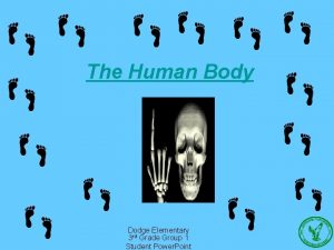 The Human Body Dodge Elementary 3 rd Grade