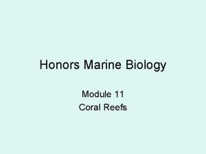 Honors Marine Biology Module 11 Coral Reefs Class