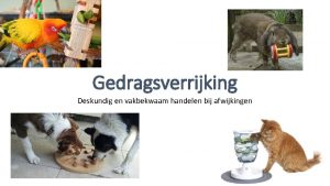 Gedragsverrijking Deskundig en vakbekwaam handelen bij afwijkingen Wat