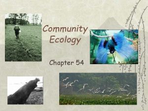 Chapter 54 community ecology