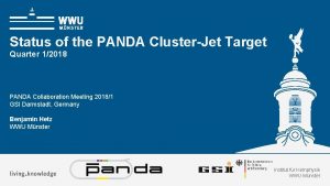 Status of the PANDA ClusterJet Target Quarter 12018