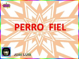 PERRO FIEL JOSE LUIS Perro que va a