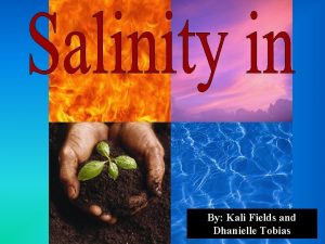 By Kali Fields and Dhanielle Tobias Salinity Unsuitable