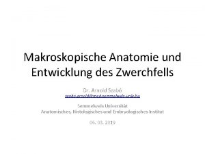 Makroskopische Anatomie und Entwicklung des Zwerchfells Dr Arnold
