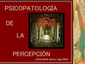 PSICOPATOLOGA DE LA PERCEPCIN Leticia Muoz Garca Largo