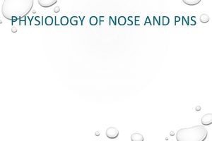 PHYSIOLOGY OF NOSE AND PNS Functions of the