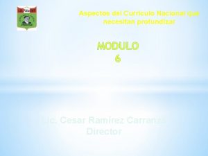 Aspectos del Curriculo Nacional que necesitan profundizar MODULO