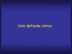 Ciclo dellacido citrico 1 Il metabolismo ossidativo dei