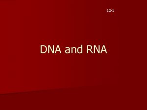 12 1 DNA and RNA Griffith n Griffith