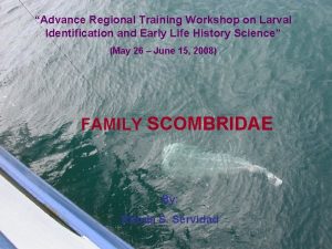 Advance Regional Training Workshop on Larval Identification and