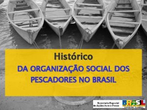 Histrico DA ORGANIZAO SOCIAL DOS PESCADORES NO BRASIL