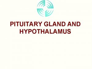 PITUITARY GLAND HYPOTHALAMUS Anatomical Relations Pituitary Sella Turcica