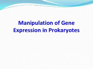 Manipulation of Gene Expression in Prokaryotes Gene Expression