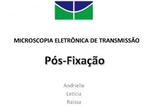 MICROSCOPIA ELETRNICA DE TRANSMISSO PsFixao Andrielle Letcia Raissa