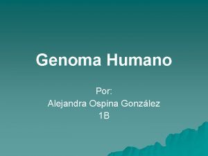 Genoma Humano Por Alejandra Ospina Gonzlez 1 B