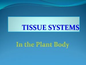 TISSUE SYSTEMS In the Plant Body Tissue System