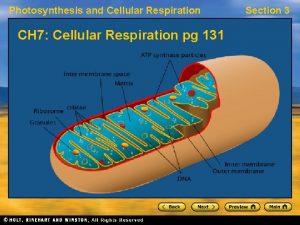 Aerobic respiration