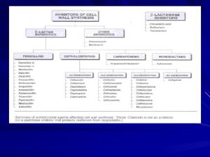 Cephalosporins BLactam antibiotics similar to penicillins Broad spectrum