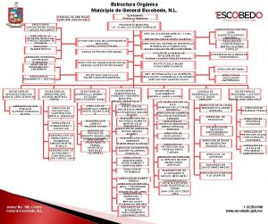 Estructura Orgnica Municipio de General Escobedo N L