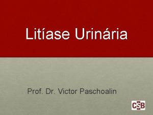 Litase Urinria Prof Dr Victor Paschoalin Epidemiologia Doena