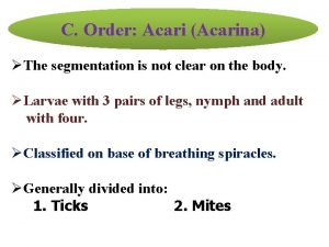 Acarina order