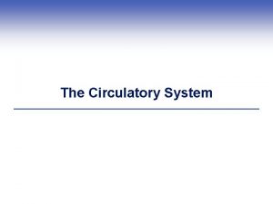 Single loop blood circulation