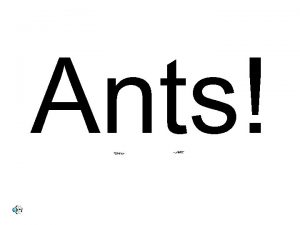 Ants Ants are everywhere Can you think of