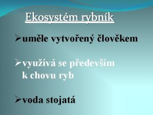 Ekosystm rybnk umle vytvoen lovkem vyuv se pedevm