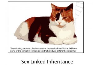 Whats a sex linked trait