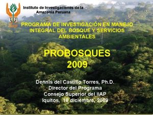 Instituto de Investigaciones de la Amazona Peruana PROGRAMA