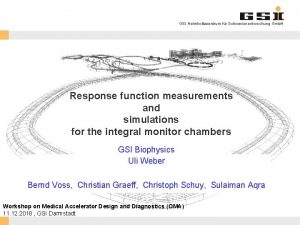 GSI Helmholtzzentrum fr Schwerionenforschung Gmb H Response function