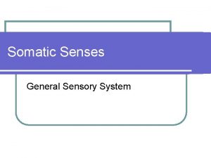 Types of sensation