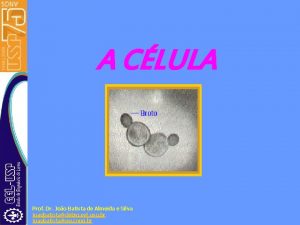 A CLULA Prof Dr Joo Batista de Almeida