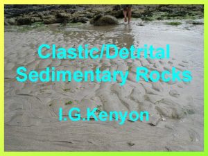 Characteristics of sedimentary rocks