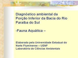 Diagnstico ambiental da Poro Inferior da Bacia do