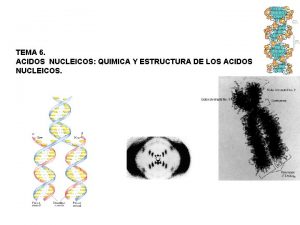 TEMA 6 ACIDOS NUCLEICOS QUIMICA Y ESTRUCTURA DE