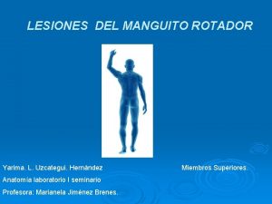 LESIONES DEL MANGUITO ROTADOR Yarima L Uzcategui Hernndez