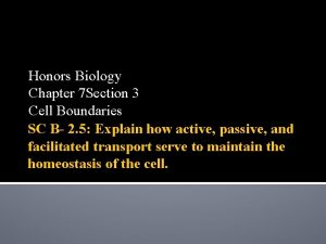 Chapter 7-3 cell boundaries