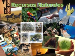Recursos naturales