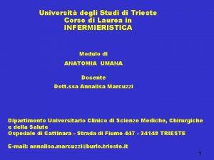 Universit degli Studi di Trieste Corso di Laurea