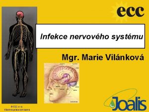 Infekce nervovho systmu Mgr Marie Vilnkov ECC s