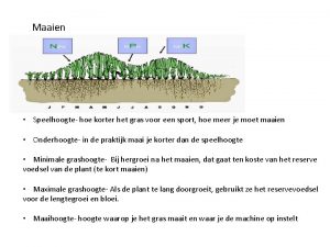 Maaien Speelhoogte hoe korter het gras voor een