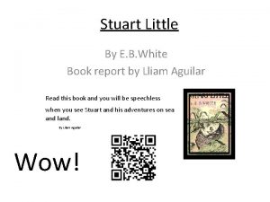 Stuart little book report