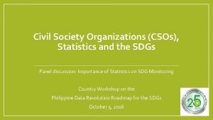 Civil Society Organizations CSOs Statistics and the SDGs