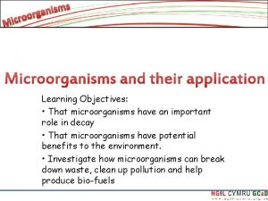Learning objectives of microorganisms