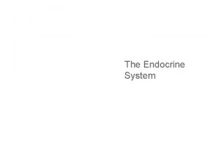 The Endocrine System The Endocrine System Secondmessenger system